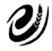Jiangsu Chuangfeng Glass Products Co., Ltd. logo