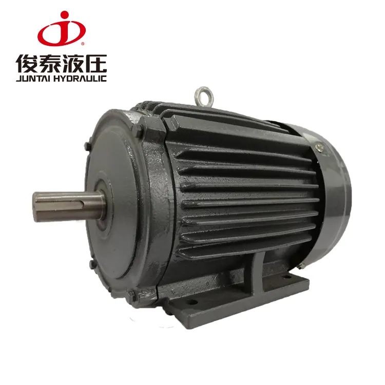 China Lieferant 220V AC Asynchron motor mit gutem Angebot