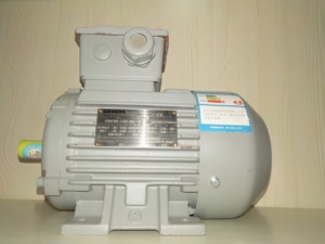 Motor de Inducción Trifásico de CA de Alta Eficiencia Serie 1LE0001 de SIEMENS - Product Image 3