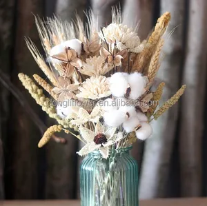 Boule de coton à grain de blé naturel, bouquet de fleurs séchées de chrysanthème pour centres de table de maison et d'hôtel