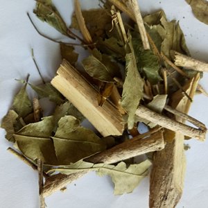 Murraya <span class=keywords><strong>paniculata</strong></span> seca, naranja, jazmín, sin procesar, alta calidad, hojas para té - Product Image 3