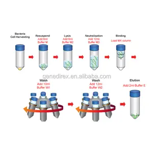 Simply 10rxns Plasmid maxiPREP DNA Purification Kit