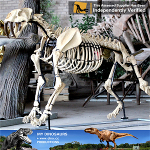 Squelette d'animal de l'ère glaciaire préhistorique, squelette de Smilodon - Product Image 4