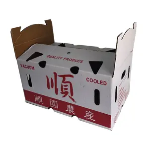 Custom Design Recycle Corrugated Carton Box Food fruits fresh pineapple export Packing corrugated cardboard box