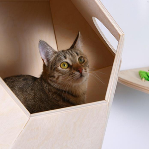 Modern evcil hayvan kafesi Kedi Mobilya Benzersiz Fashional Ahşap Kedi Evi Pet Mobilya Hotsale Kapalı evcil hayvan kafesi Evleri - Product Image 2