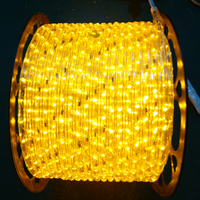 Ruban lumineux LED Duralight rond 2 fils