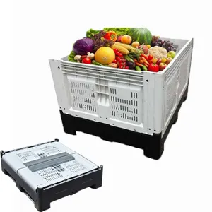 Collapsible Ventilated Agricultural Bins For Apple/Onion/Tomato/Mangos