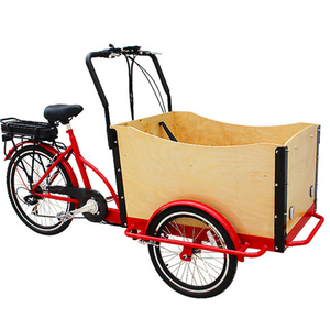 Vélo électrique à trois roues à moteur électrique de 250 W à entraînement avant alimenté par une batterie au lithium de 36 V 10,4 Ah - Product Image 6