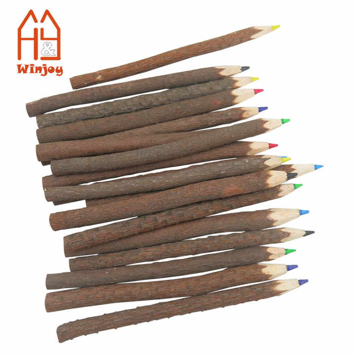 Lápices De Ramas Y Ramitas De 12 Piezas, Lápices De Colores Surtidos, Lápices Creativos De Madera HB Personalizados Para Niños