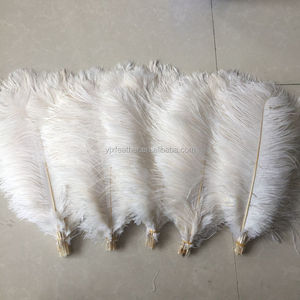 Plumes d'<span class=keywords><strong>autruche</strong></span> artificielles blanches de 40 à 45 cm, <span class=keywords><strong>prix</strong></span> de gros, pour la décoration de mariage - Product Image 4