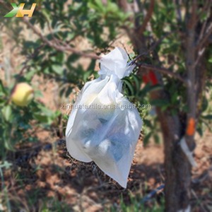 Meilleures ventes en Chine usine vente en gros PP Spunbnod sac de protection de fruits non tissé non tissé non tissé pour mangue et ainsi de suite - Product Image 4