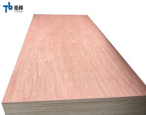 มะฮอกกานีชั้นไม้อัดขนาดราคาดี - Product Image 6
