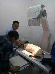 Dijital DR <span class=keywords><strong>x</strong></span> <span class=keywords><strong>ray</strong></span> <span class=keywords><strong>300ma</strong></span> tıbbi xray makinesi fiyat hayvan kullanımı için
