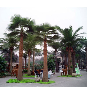 Nhà Máy cảnh quan 4-39ft chiều cao tùy chỉnh nhân tạo cây cọ - Product Image 1