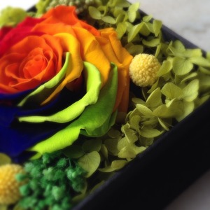 Colorante colorato per fiori veri pianta fiori secchi conservati fiore fresco - Product Image 2