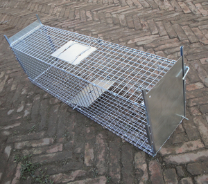 Fabrika doğrudan satış için kullanılan kafes tuzak çakal sansar kedi tuzak kafesi çift kapı giriş katlanabilir hayvan tuzağı kafes - Product Image 5
