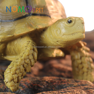 Modèle de <span class=keywords><strong>tortue</strong></span> à éperons d'Afrique, Nomo, non toxique, super réaliste, de haute qualité, mignon - Product Image 5