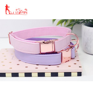 Collar para perro de piel sintética con hebilla de oro rosa - Product Image 6
