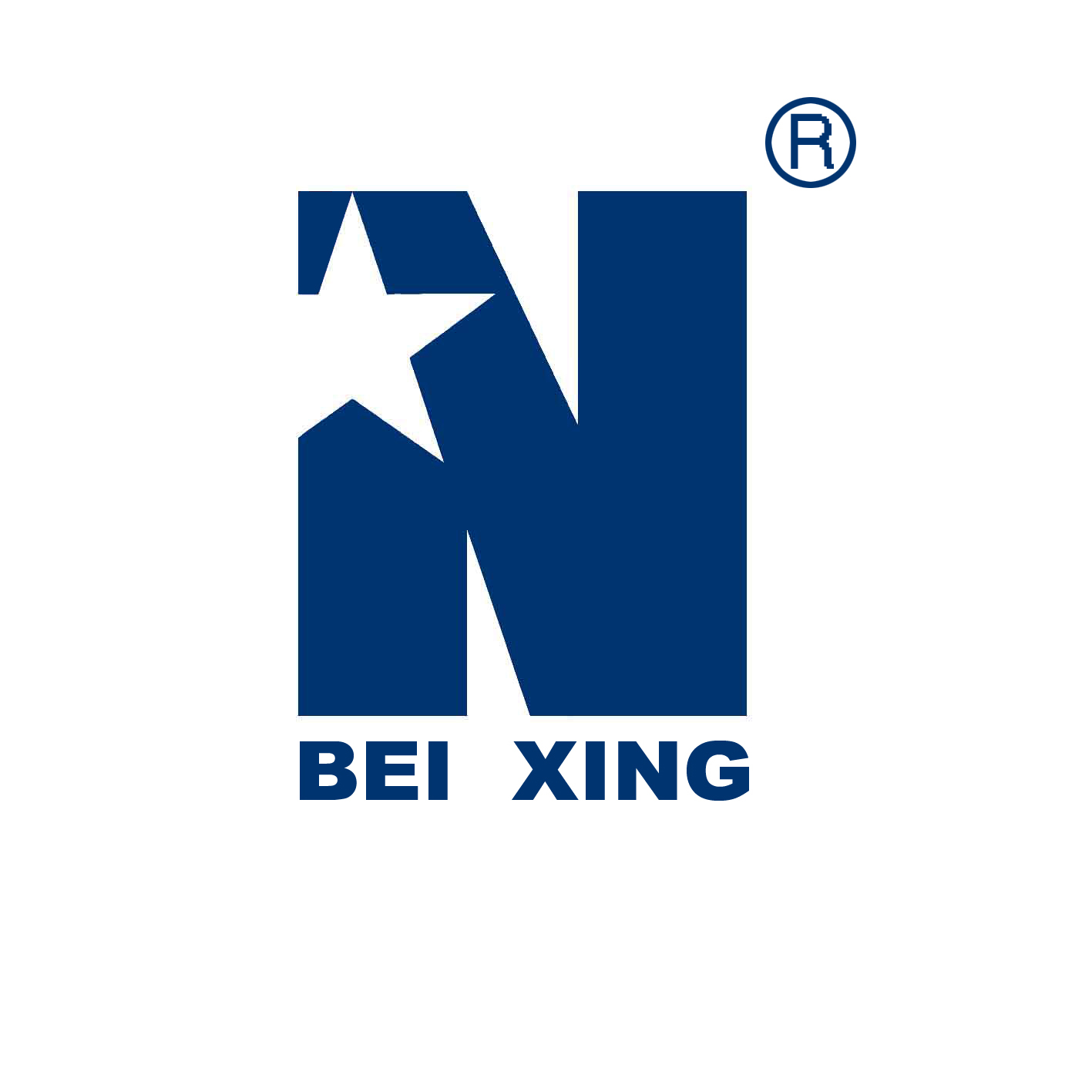 Shenyang Beixing Meter Manufacture Co., Ltd. logo