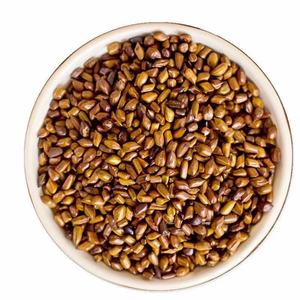 Échantillon gratuit de graines de <span class=keywords><strong>Cassia</strong></span> <span class=keywords><strong>Alata</strong></span> (<span class=keywords><strong>Cassia</strong></span> Fistula) - Product Image 6