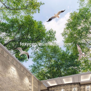 Película de Techo Elástico de <span class=keywords><strong>PVC</strong></span> con Impresión UV Digital 3D, Material Decorativo para el Hogar, <span class=keywords><strong>Precio</strong></span> de Fabricante - Product Image 2