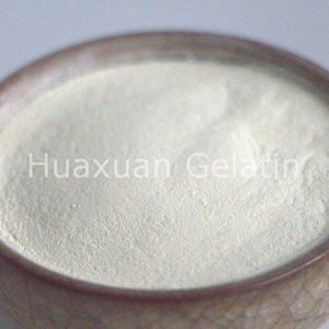 Peptone de soja, néopeptone, collagène industriel pour la microbiologie - Product Image 2