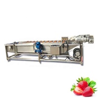 Automatische transportband industriële toepassing 2000kg/u fruit- en groentewasmachine