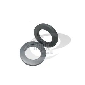 W Series SIC/Carbon/TC Seal Ring