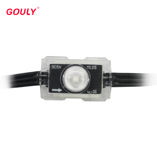 LED Module Lens 160 Degree DC12V 0.5W Waterproof AdvertisingSK6812 Ws2812 B  Waterproof Outdoor 1 Chip Led Module