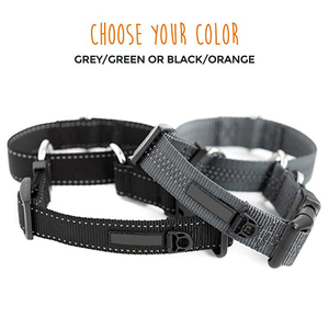 Collar de entrenamiento de nailon para martingale, collar para perro de calidad premium de cincha limitada con costura reflectante - Product Image 4