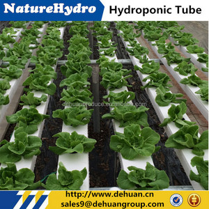 Thủy canh rau diếp phát triển guter NFT máng xối - Product Image 6