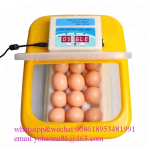 Incubateur à 9 œufs pour poulet, canard, chèvre, caille, <span class=keywords><strong>perroquet</strong></span>, petits oiseaux, 7/98% unités - Product Image 2