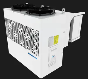 Intelligent hot gas defrost monoblock condenser unit