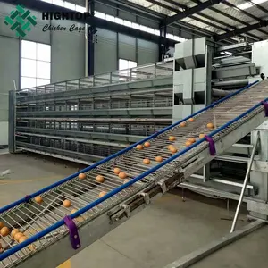 Anti-rust uae chicken farm poultry equipment automatic h type layer chicken cage for sale