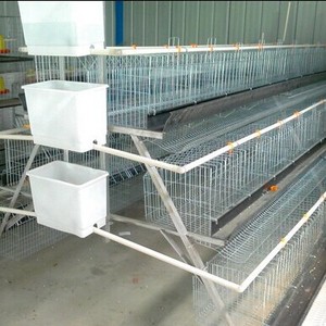 jaulas en batería para gallinas <span class=keywords><strong>ponedoras</strong></span> ( venta caliente en México, venezuela) - Product Image 5