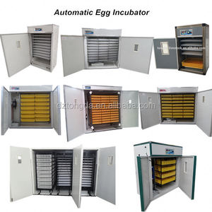 <span class=keywords><strong>Incubatrice</strong></span> <span class=keywords><strong>per</strong></span> 3000 <span class=keywords><strong>Uova</strong></span>/<span class=keywords><strong>Incubatrice</strong></span> con Capacità <span class=keywords><strong>di</strong></span> 3168 <span class=keywords><strong>Uova</strong></span> in Vendita/<span class=keywords><strong>Incubatrice</strong></span> <span class=keywords><strong>per</strong></span> <span class=keywords><strong>Uova</strong></span> <span class=keywords><strong>di</strong></span> Quaglia Cinese - Product Image 6