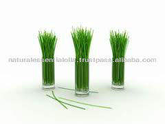 Huile essentielle de citronnelle naturelle 100% pure biologique en vrac de qualité supérieure pour la fabrication de bougies cosmétiques aromathérapie vente en gros - Product Image 3