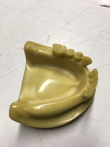 Implant modello di pratica spugnoso bone materiali mandibola - Product Image 2