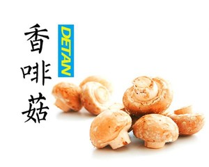 Frais bouton / crimini champignons / suisse brune rushroom - Product Image 1