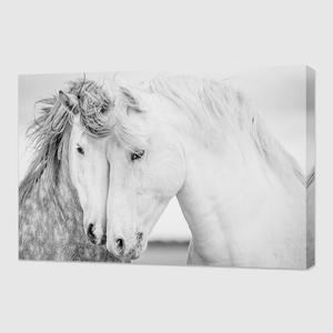 Dropshipping home decor stampa acrilica 3d horse pictures arte della parete in bianco e nero - Product Image 1