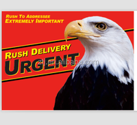 Enveloppes urgentes Enveloppes de priorité urgente Enveloppes de style DHL