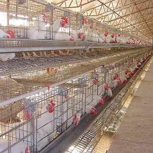Automatischer Tier käfig Geflügel käfig Hühner schicht käfig Geschweißte Drahtgitter herstellungs maschine für den Verkauf Kenia Online-Shop JIAKE