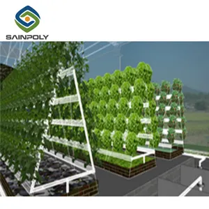 The Cheapest Sainpoly Aquaponic System Greenhouse