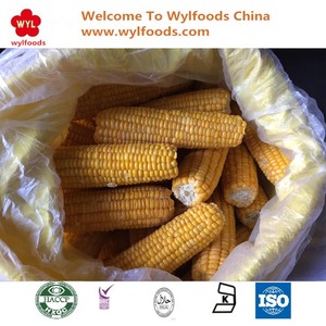 Высококачественные хлопья IQF <span class=keywords><strong>Corn</strong></span> по выгодной цене от New corp - Product Image 2