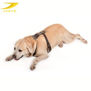 Potongan harga fashion unik kualitas tinggi kulit asli tali kekang anjing peliharaan - Product Image 6