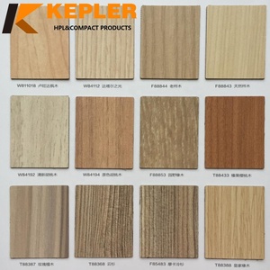 Tablero de laminación <span class=keywords><strong>compacto</strong></span> fenólico, paneles de tablero de pared HPL ignífugos antibacterianos de grano de madera para Quirófano de Cirugía hospitalaria - Product Image 2