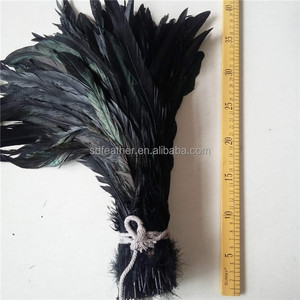 Vente directe d'usine : Plumes de coq, plumes de queue de coq, plumes de carnaval - Product Image 2
