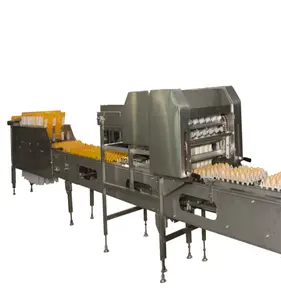 High quality automatic commercial egg tray hen egg egg packaging machine for with factory price
