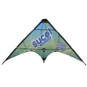 Kite stunt promozione logo personalizzato