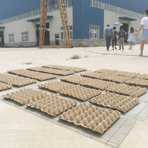 1000-3000 Pcs Home Business New Design Paper Pulp Molded Egg <strong>Tray</strong> Making <strong>Machine</strong> - Product Image 6